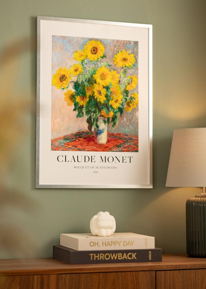 Rám Minerva stříbro 30x40 cm - Pasparty Bílý 20x28 cm