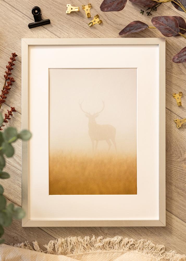 Rám Minerva stříbro 30x40 cm - Pasparty Bílý 20x28 cm