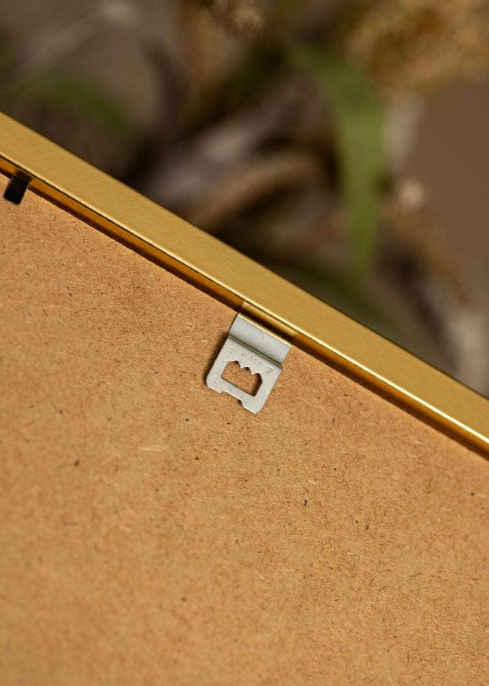 Rám Minerva zlato 45x60 cm - Pasparty Bílý 32x45 cm