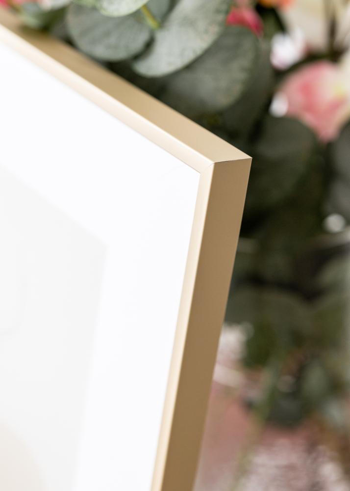 Hliníkový rám Mosaz 70x100 cm - Pasparty Bílý 24x36 inches