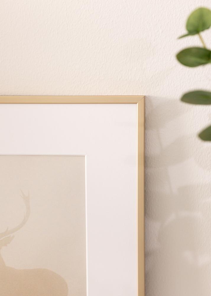 Hliníkový rám Mosaz 70x100 cm - Pasparty Bílý 24x36 inches