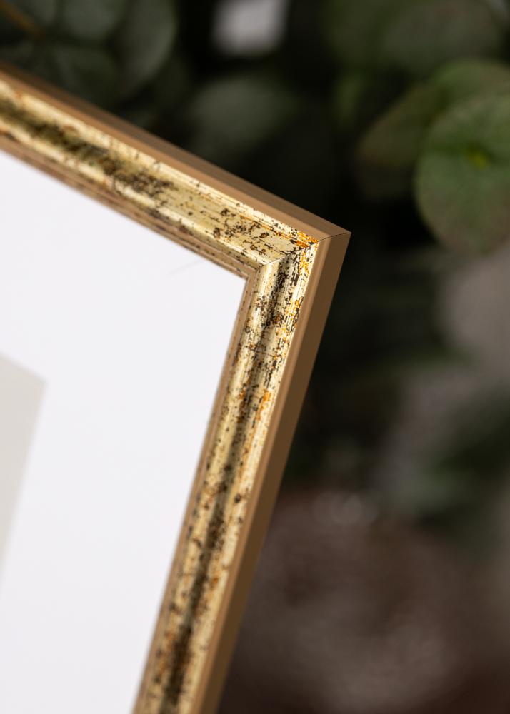 Rám Claudia Akrylglas Stříbrná 40x60 cm