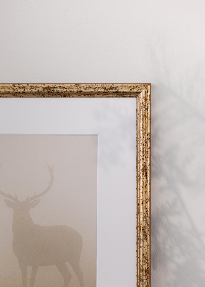 Rám Claudia Akrylglas Stříbrná 40x60 cm