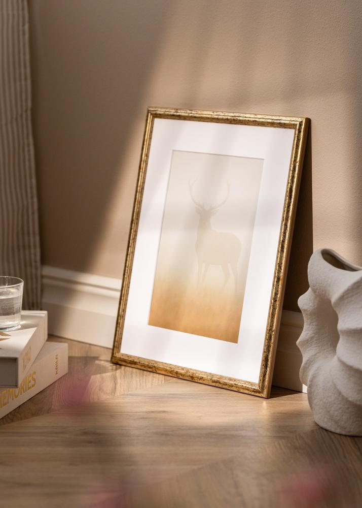 Rám Claudia Akrylglas Stříbrná 40x60 cm