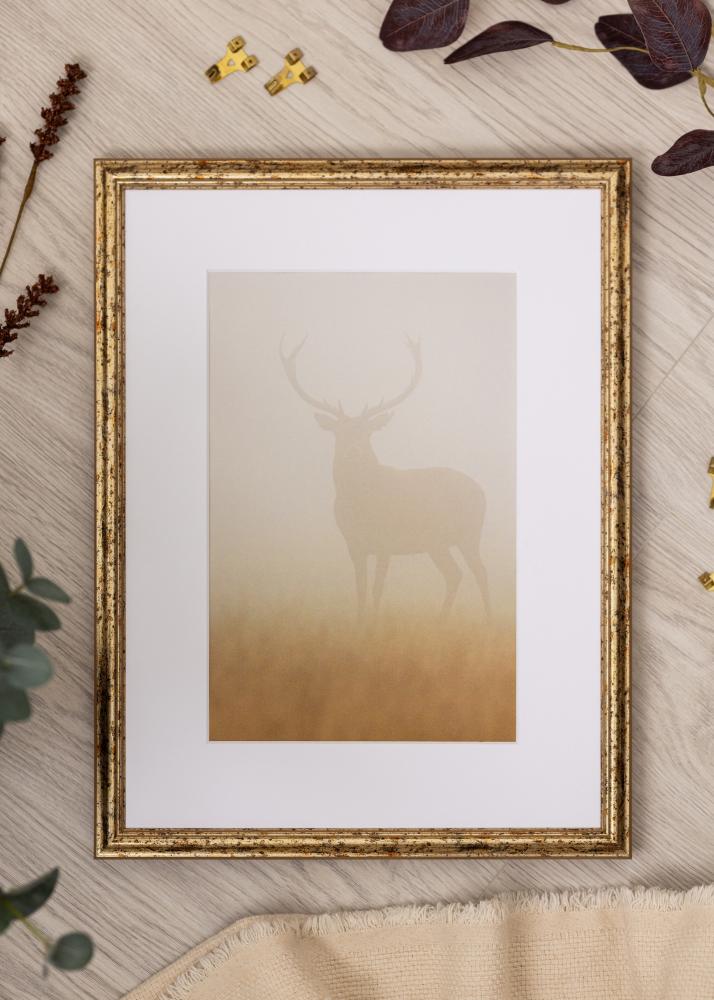 Rám Claudia Akrylglas Stříbrná 40x60 cm