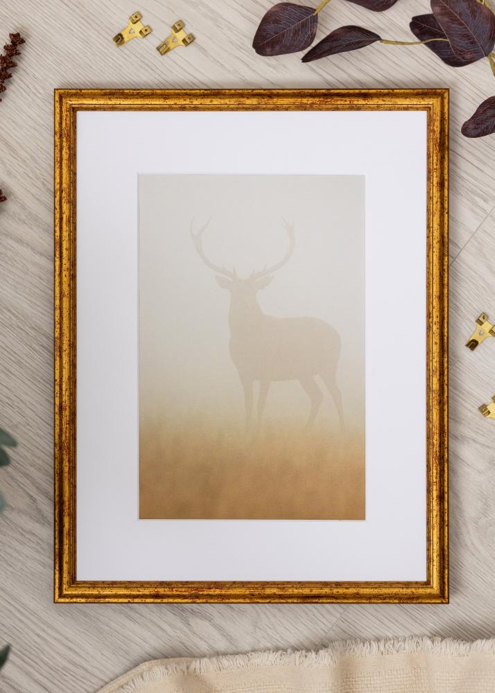 Rám Claudia Akrylglas Zlatá 42x59,4 cm (A2)