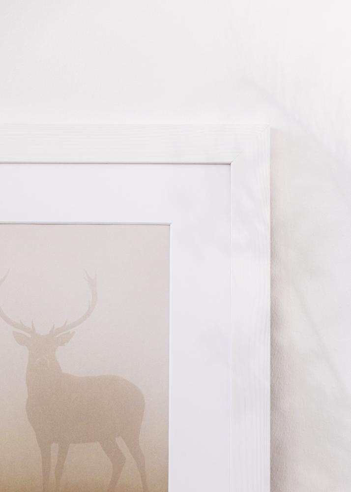 Rám Sandra Akrylátové sklo Bílá 40x60 cm