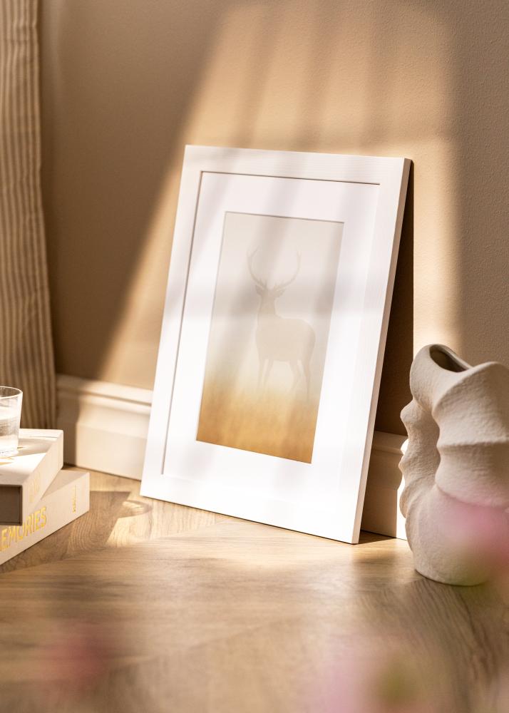 Rám Sandra Akrylátové sklo Bílá 40x60 cm