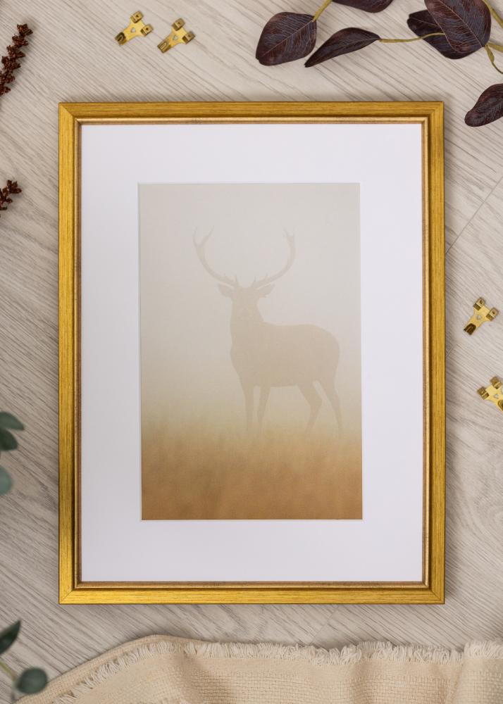 Rám Marisa Akrylátové sklo Zlatá 42x59,4 cm (A2)