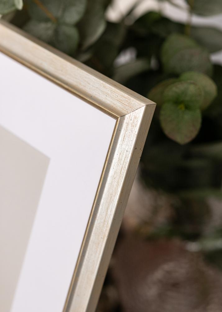 Rám Marisa Akrylglas Stříbrná 60x80 cm