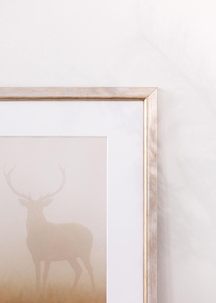 Rám Marisa Akrylglas Stříbrná 60x80 cm