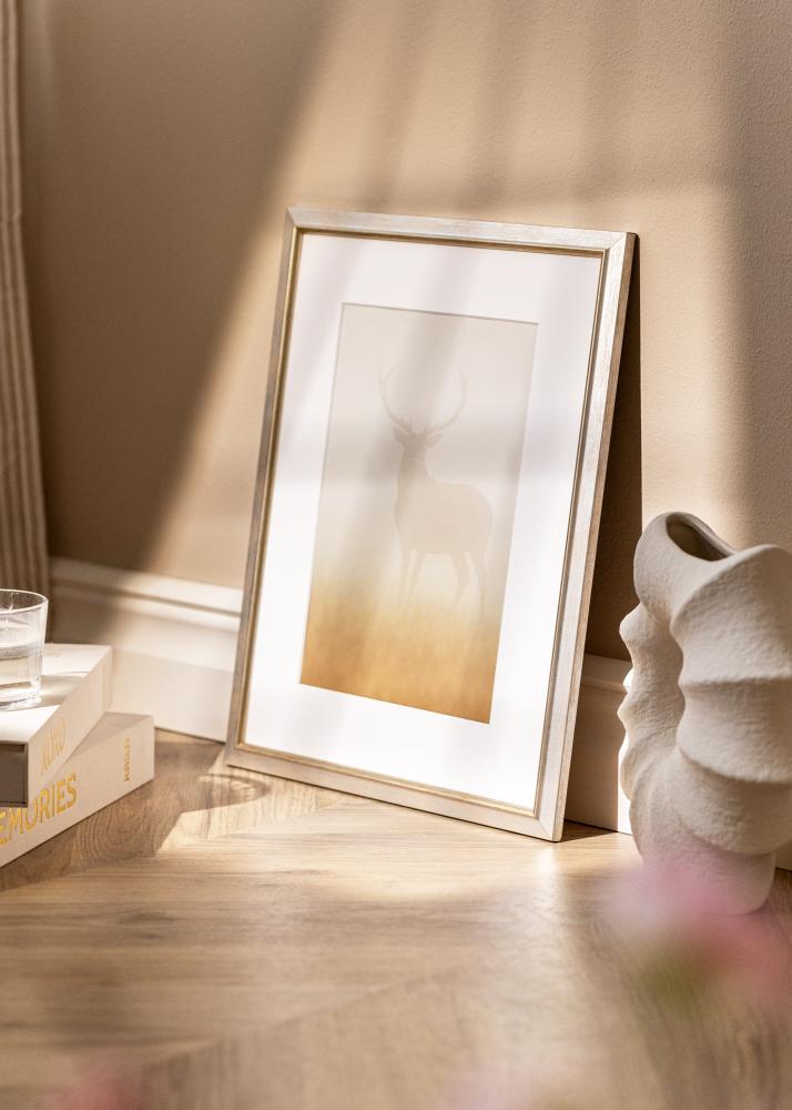 Rám Marisa Akrylglas Stříbrná 60x80 cm