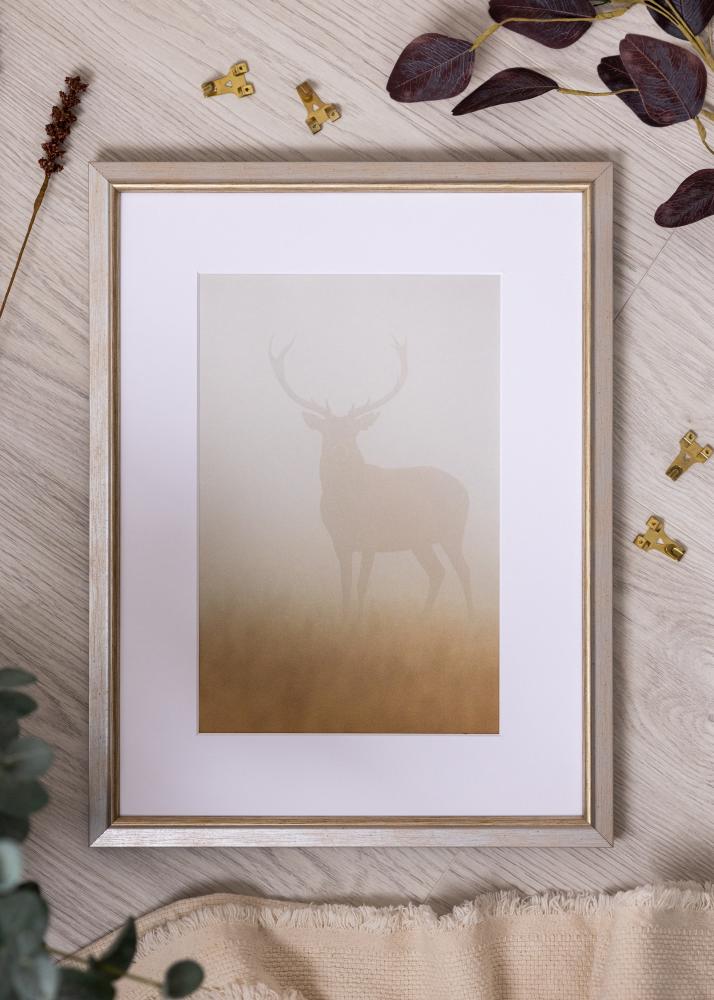 Rám Marisa Akrylglas Stříbrná 60x80 cm