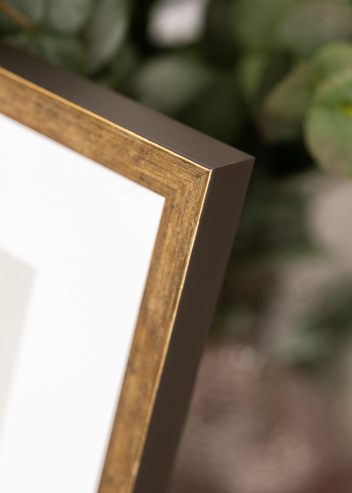 Rám Dune Akrylglas Zlatý 40x50 cm