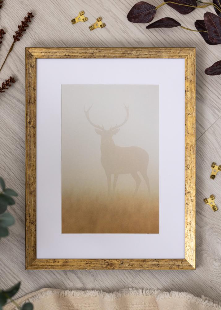 Rám Dune Akrylglas Zlatý 40x50 cm