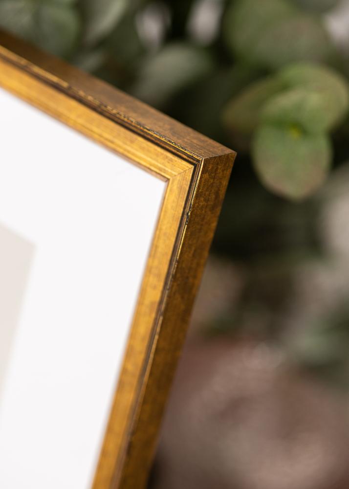 Rám Ringa Akrylové sklo Zlatá 59,4x84,1 cm (A1)