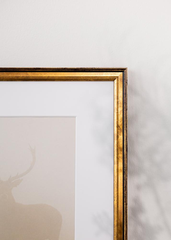 Rám Ringa Akrylové sklo Zlatá 59,4x84,1 cm (A1)