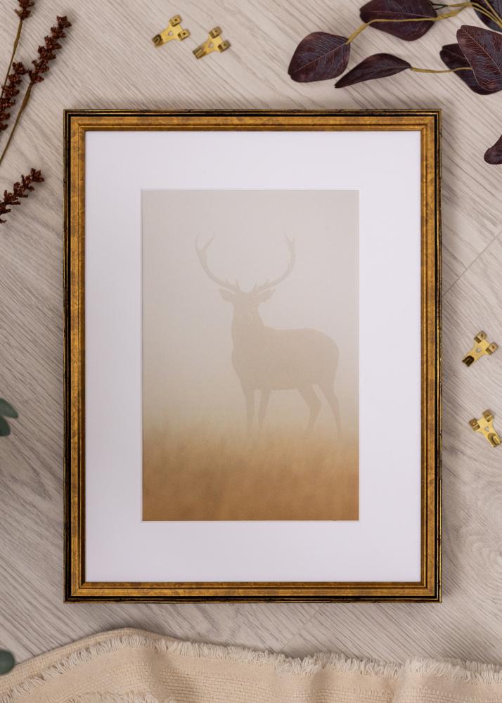 Rám Ringa Akrylové sklo Zlatá 59,4x84,1 cm (A1)