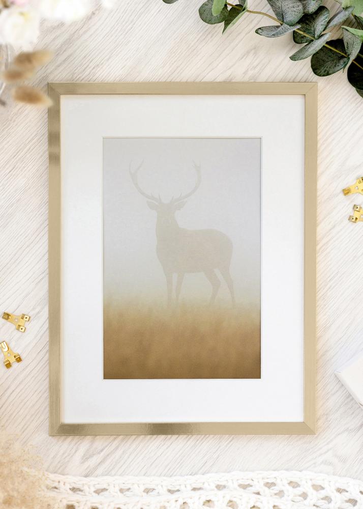 Rám Trendy Akrylové sklo Zlatá 21x29,7 cm (A4)