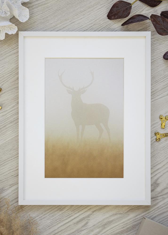 Rám Bílý Úzký 40 x 50 cm