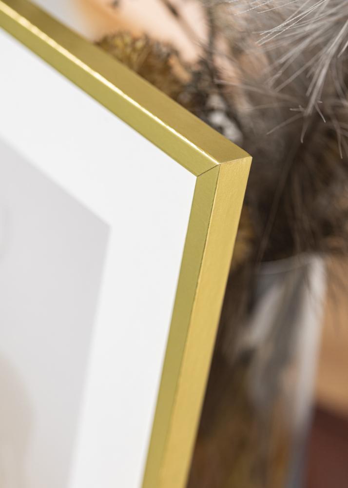 Rám na obraz Zlatá úzký 59,4 x 84,1 cm (A1)