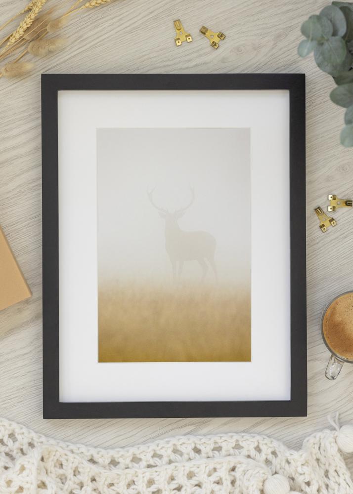 Premium by BGA Černá 42x59,4 cm (A2)