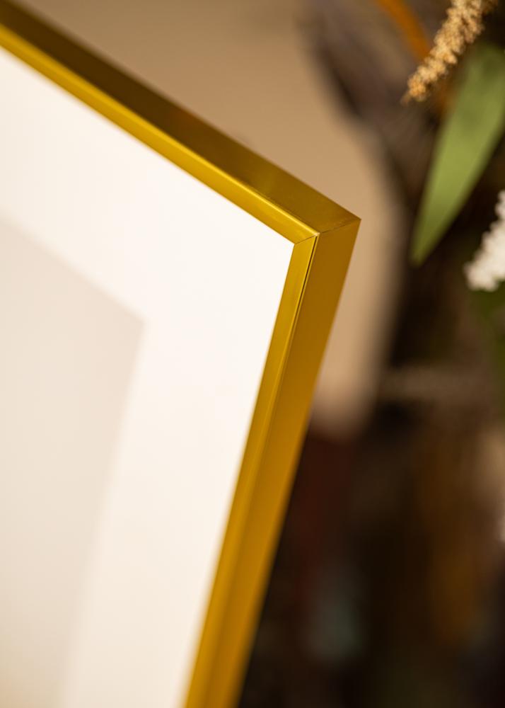 Hliníkový rám Akrylové sklo Zlatá 61x91,5 cm