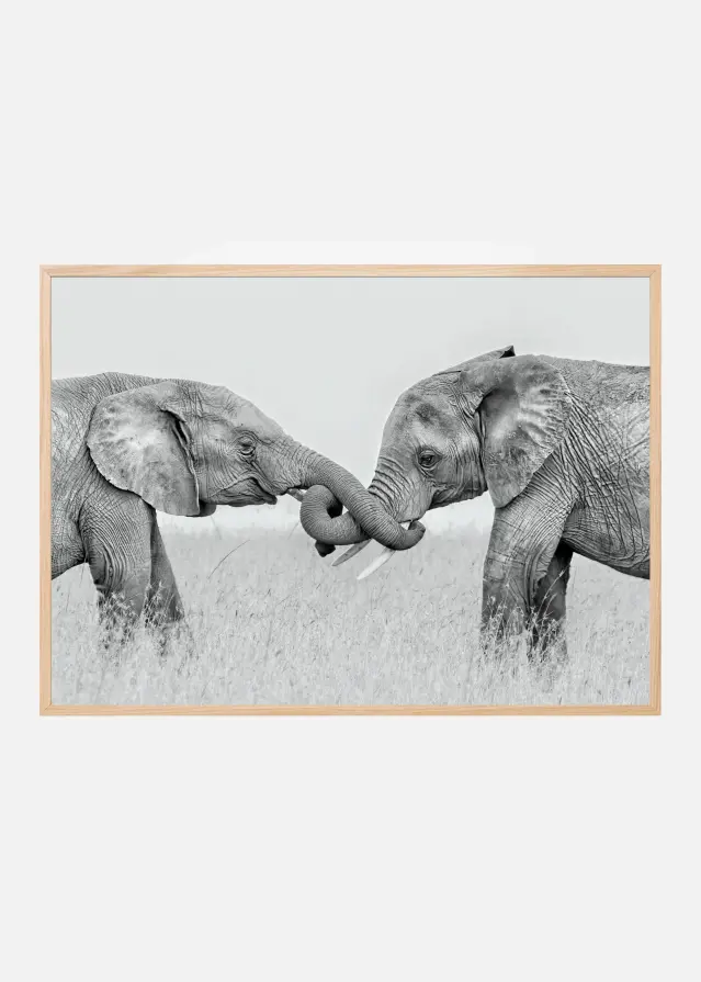 Confrontation Plakát