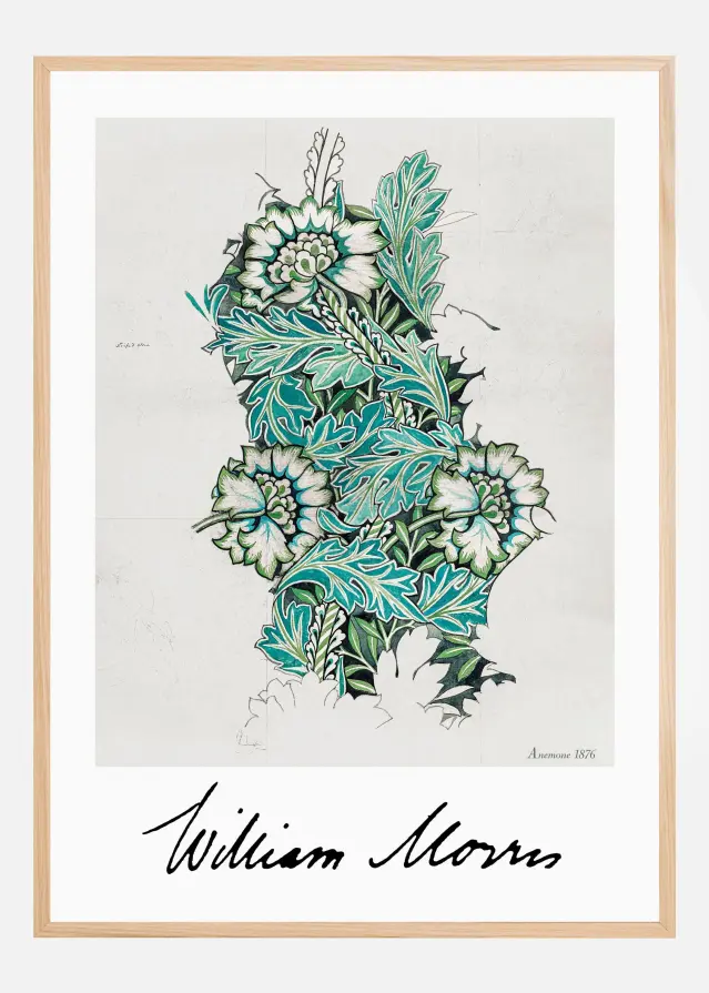 Anemone Plakát