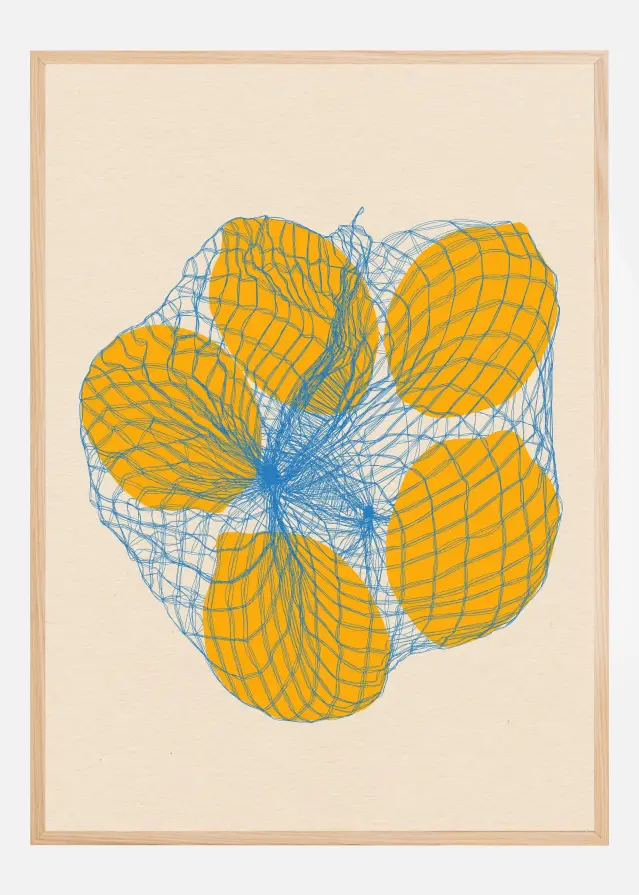 Five Lemons In a Net Bag Plakát