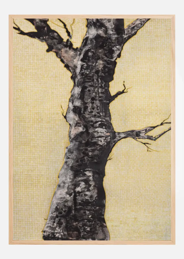 Aurum Naturae I Plakát