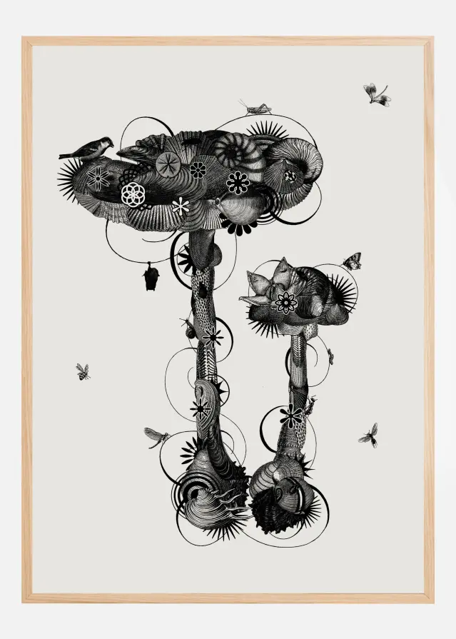 Amanita Mascara Plakát