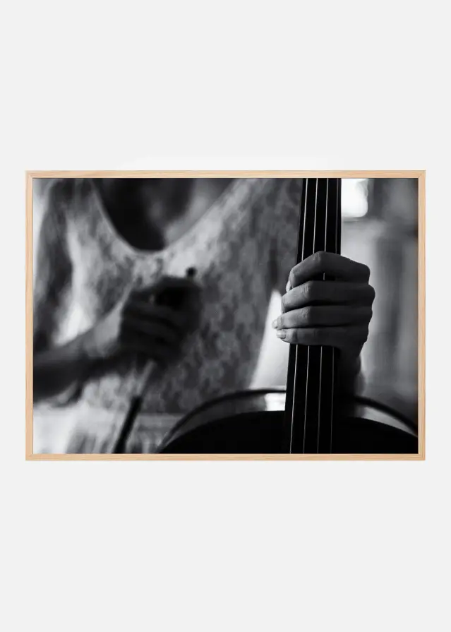 break for the cello Plakát