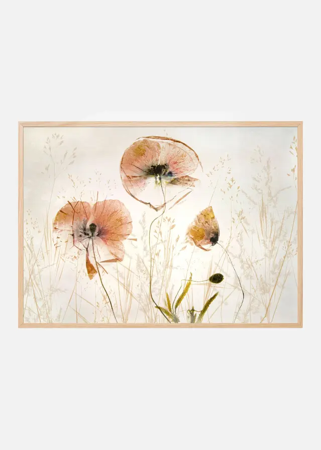 Light and soft Plakát