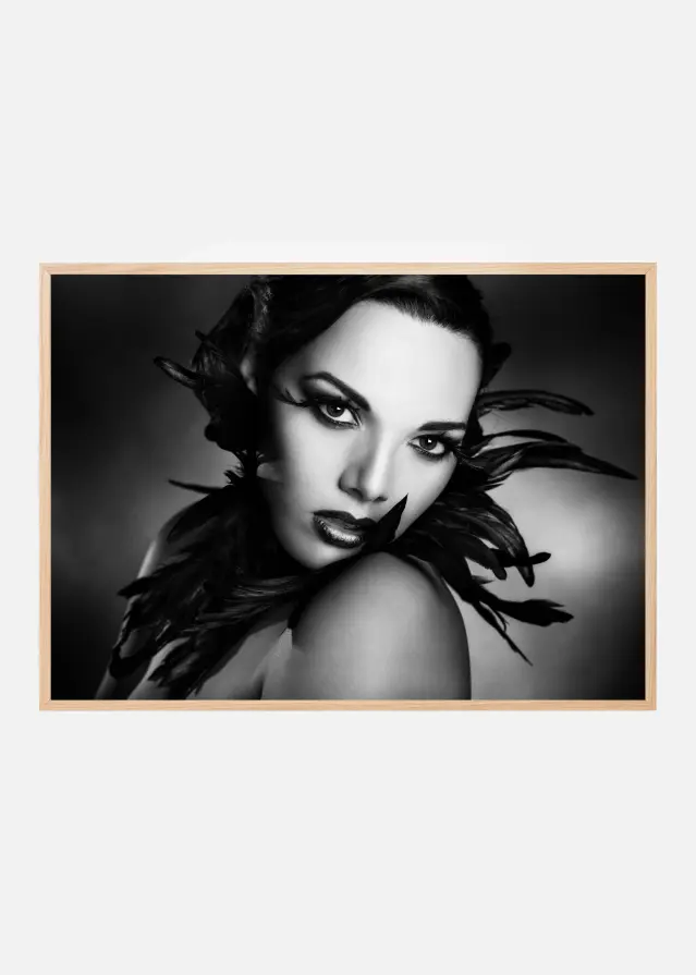 The black feathers Plakát