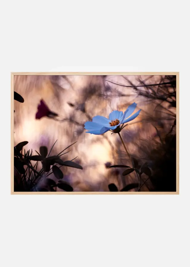 L’Indifférence Plakát