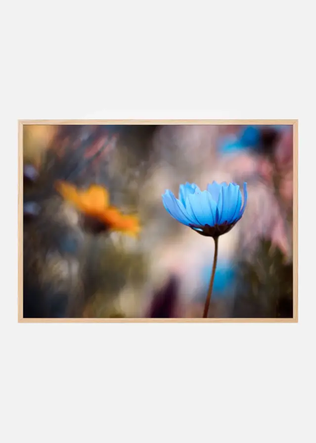 Do you wanna dance with me Plakát