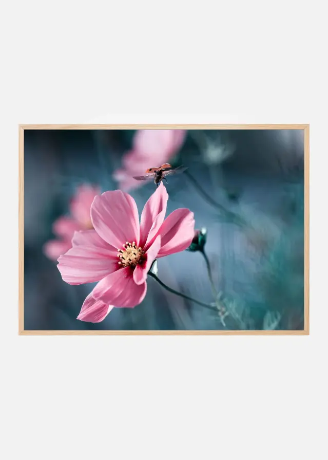 Clair de Terre Plakát