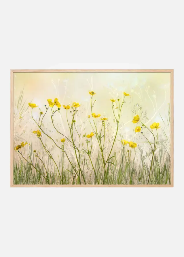 Good morning! Plakát