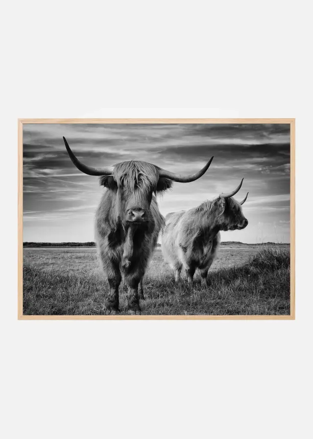 I am the boss Plakát