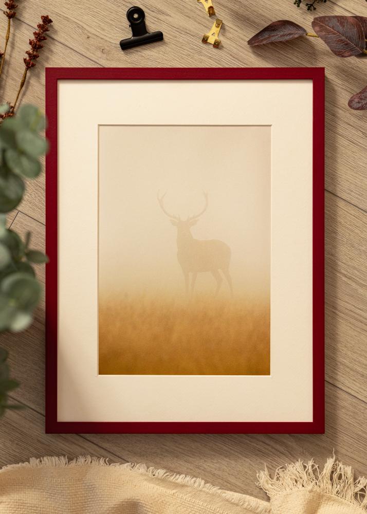 Colorful Akrylové sklo Cervená 42x59,4 cm (A2)