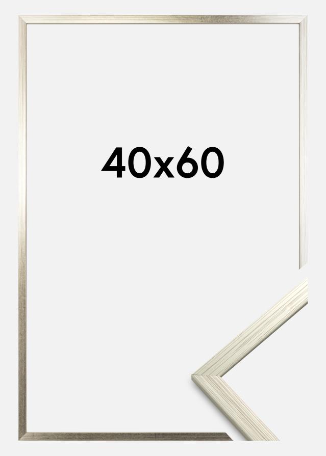 Rám Edsbyn Stríbrná 40x60 cm
