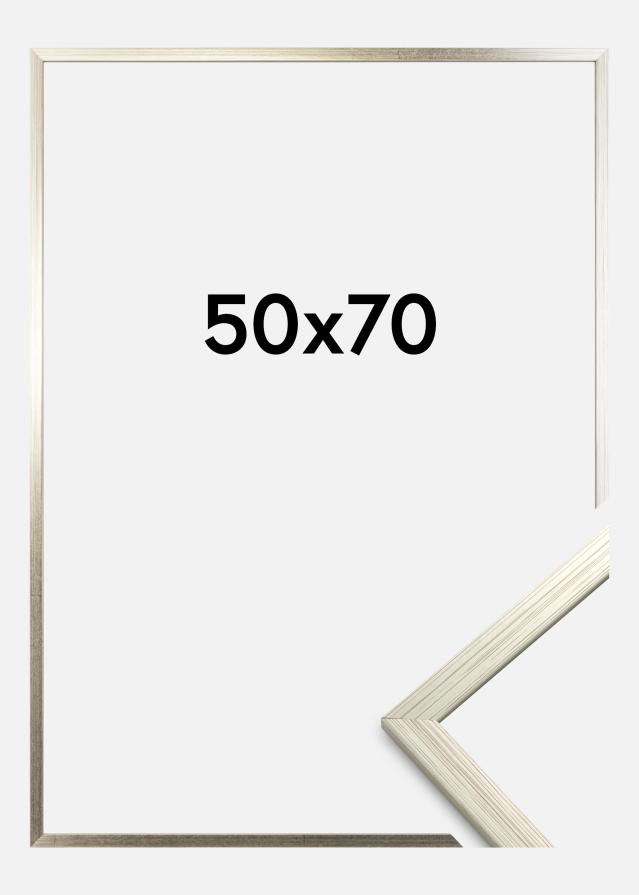 Rám Edsbyn Stríbrná 50x70 cm