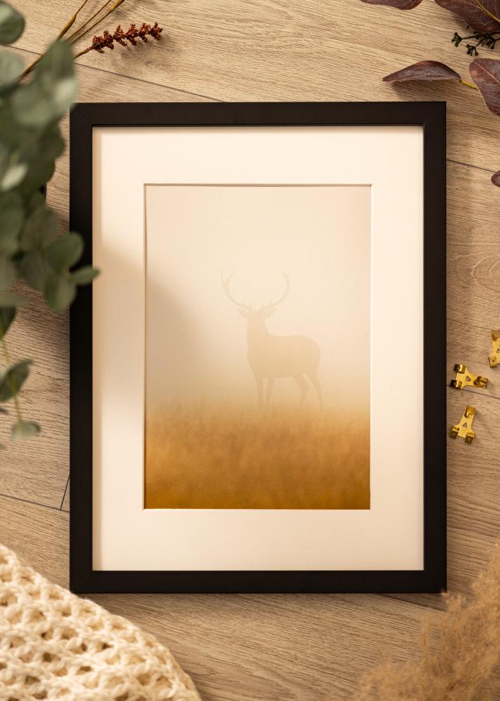 Rám Deco Akrylové sklo Cerná 21x29.7 cm (A4)