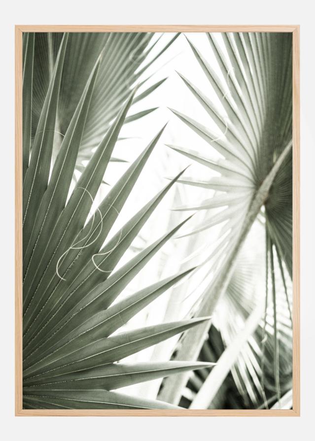 Green Leaves Plakát