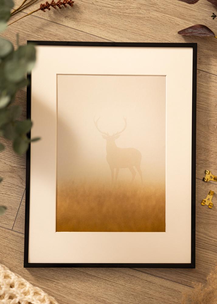 Hliníkový rám Akrylové sklo Cerná 21x29,7 cm (A4)