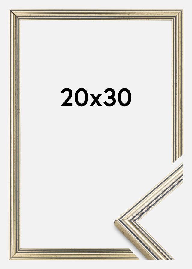 Rám Classic Stríbrná 20x30 cm