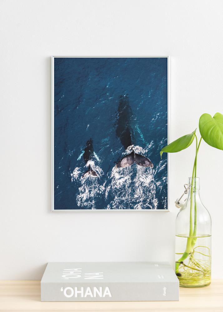 Rám Can-Can Stríbrná 40x60 cm