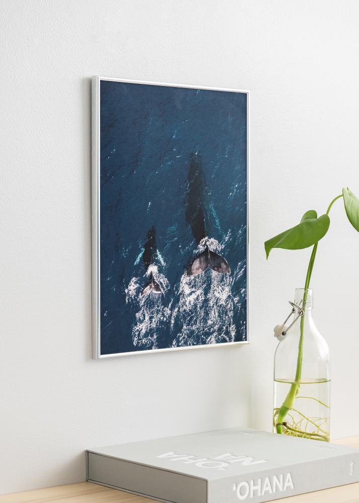 Rám Can-Can Stríbrná 40x60 cm