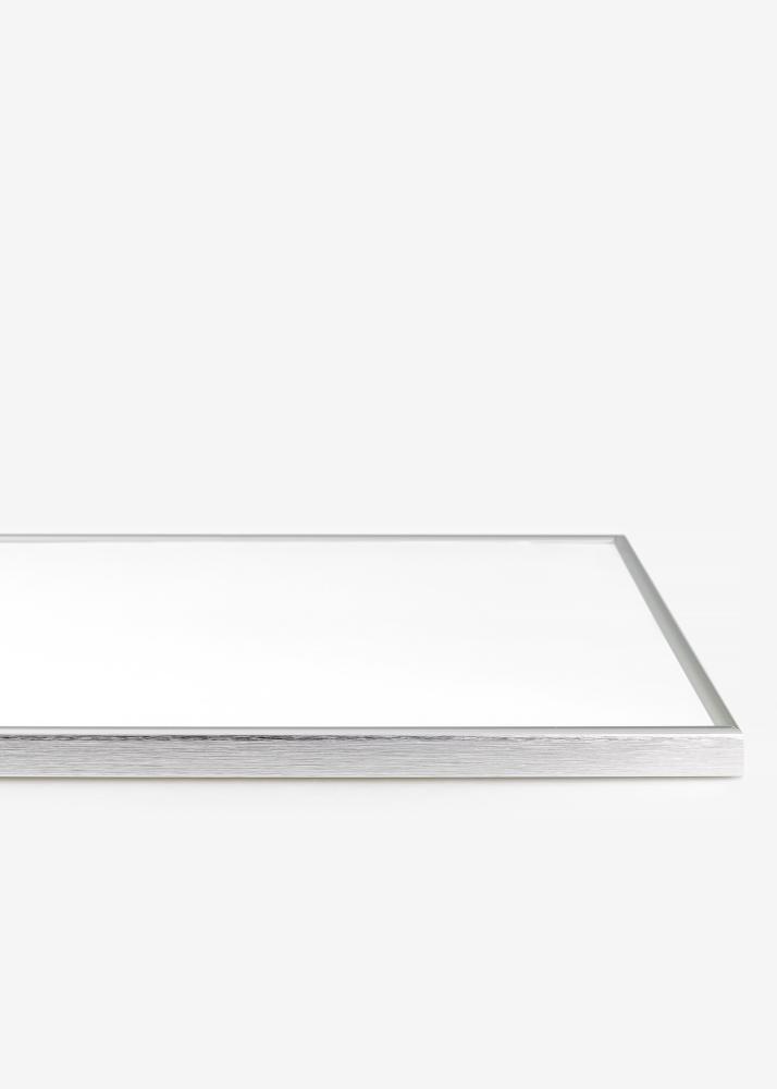 Rám Can-Can Stríbrná 40x60 cm